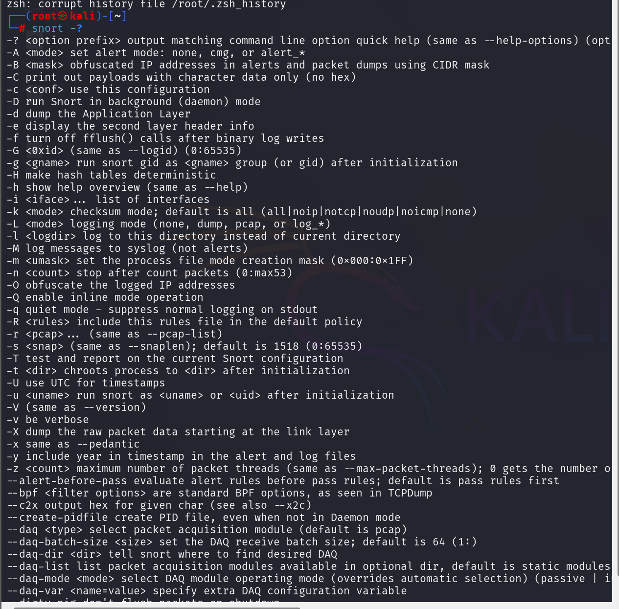 Snort help output showing key switches