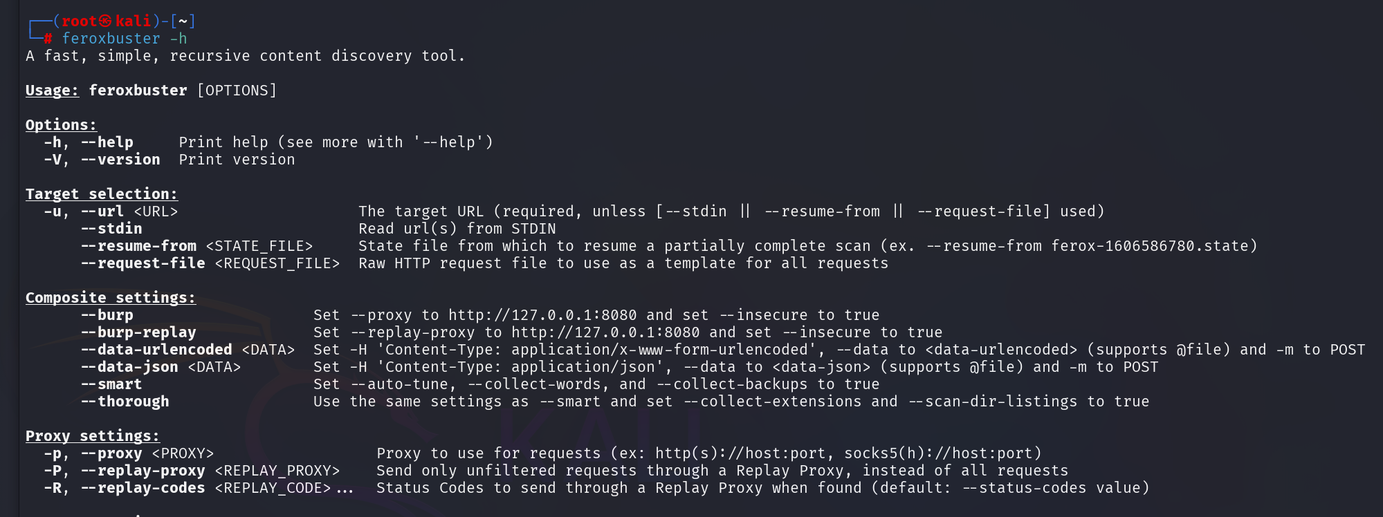 Feroxbuster help output