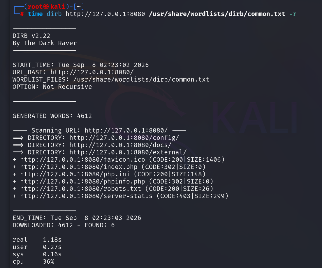 DIRB timed scan output